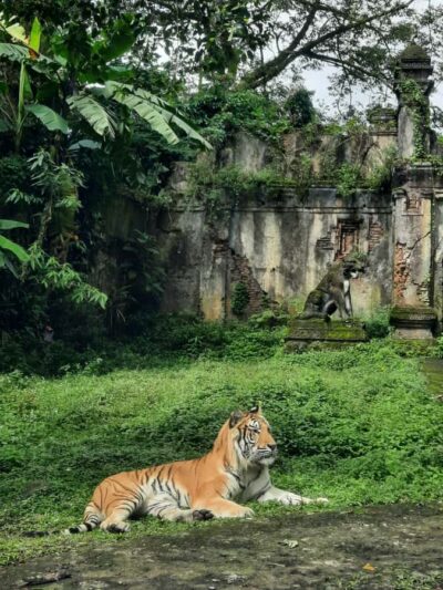 Jakarta : Taman Safari, Panda Palace, and Waterfall