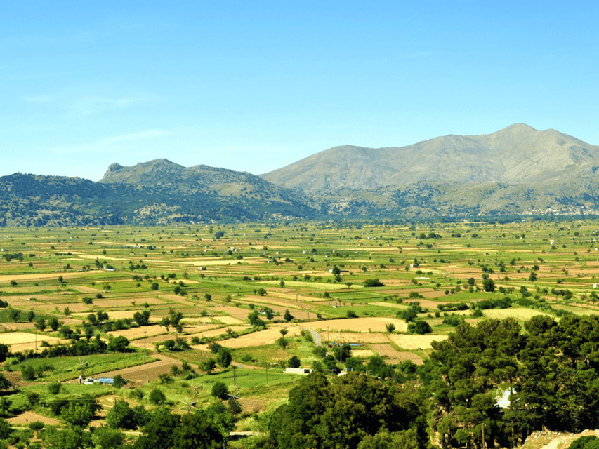 Knossos Palace &/or Zeus Cave + Olive Mill | Local & Private - Monastery, pottery, and village life