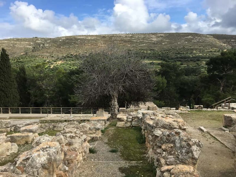 Knossos Palace ( Private tour Skip-The-Line ) - The throne of Minos and the royal rooms