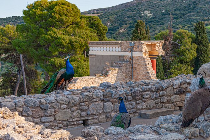 Knossos Palace Private Walking Tour - Two hours, private pacing, and group size
