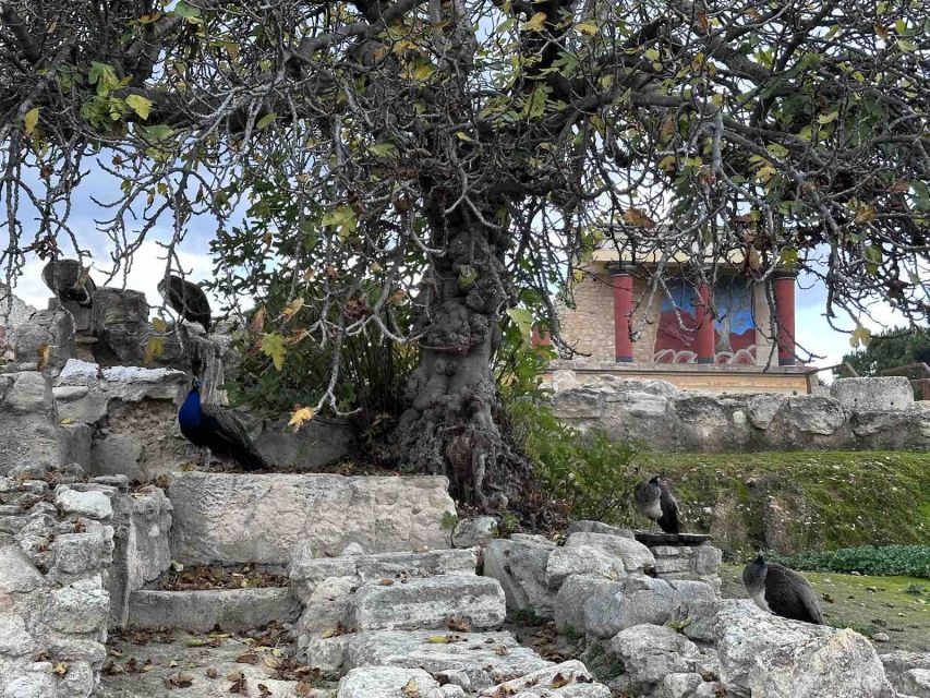 Knossos Palace Skip-the-Line Ticket & Private Guided Tour - Heat, stairs, and what to bring