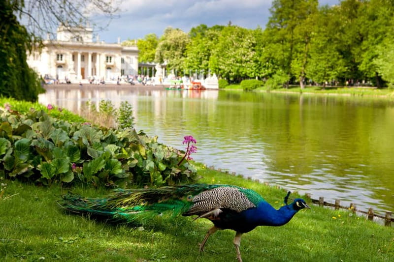 Łazienki Park and Palace Warsaw Private Tour with Tickets - Key points to know before booking