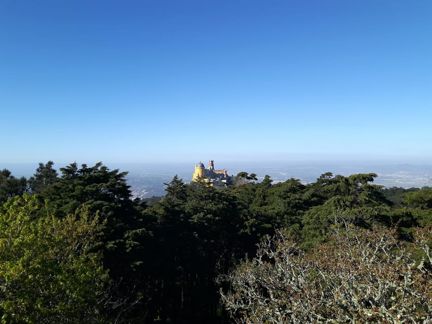 Lisbon: Half-Day Sintra Tour with Pena Palace and Regaleira - Walking, weather, and the real pace