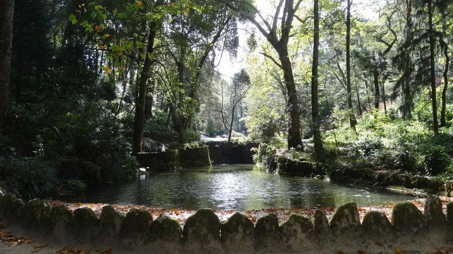 Lisbon: Pena Palace and Regaleira with Tickets - Walking from Sintra to Regaleira