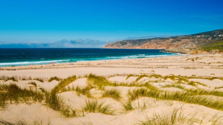 Lisbon: Sintra, Pena Palace, Cabo Roca Coast & Cascais Tour - Pena Palace and its royal gardens