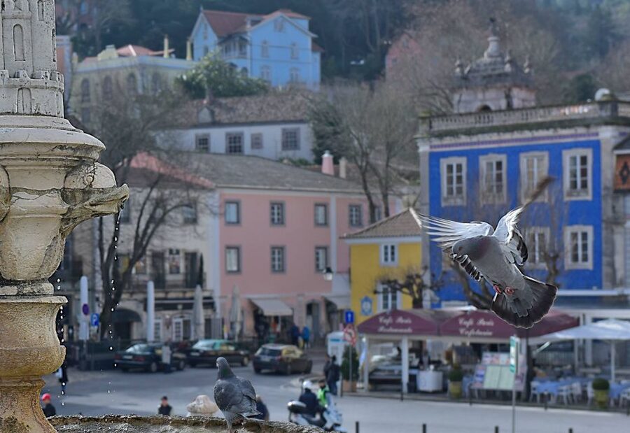 Lisbon: Sintra, Pena Palace, Quinta Regaleira, Cascais Tour - The drive past Queluz Palace