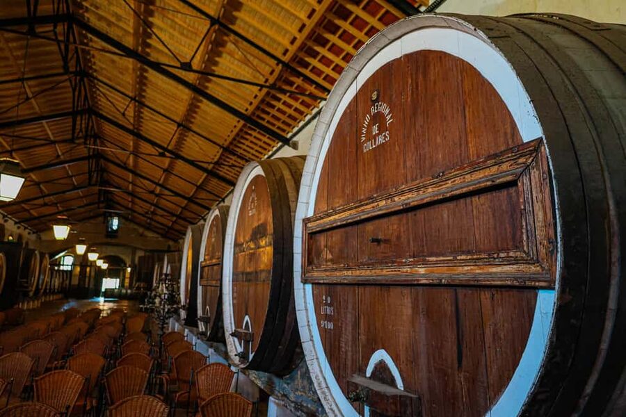 Lisbon: Sintra, Pena Palace & Wine Tasting Small-Group Tour - Cabo da Roca and the Atlantic wind
