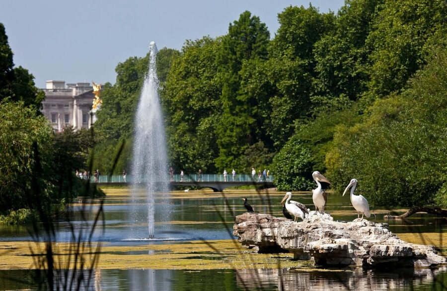 London: Buckingham Palace State Rooms & Royal Walking Tour - What the audio guide changes