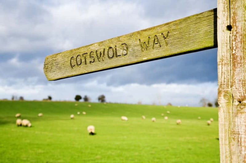 London: Cream Tea at Blenheim Palace & the Cotswolds Tour - Blenheim Palace: the day’s grand centerpiece