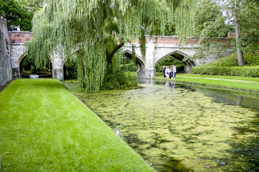 London: Entry Ticket to Eltham Palace and Gardens - The great hall and the royal past