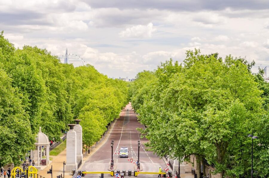 London Royal Tour - Buckingham Palace Entry - 12 guests 2,5h - Entering Buckingham Palace after the walk