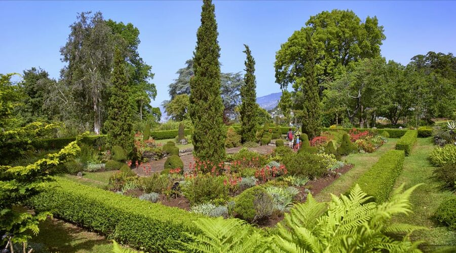 Madeira: Botanical, Monte Palace, and Palheiro Gardens - Palheiro Gardens and the Blandy family connection