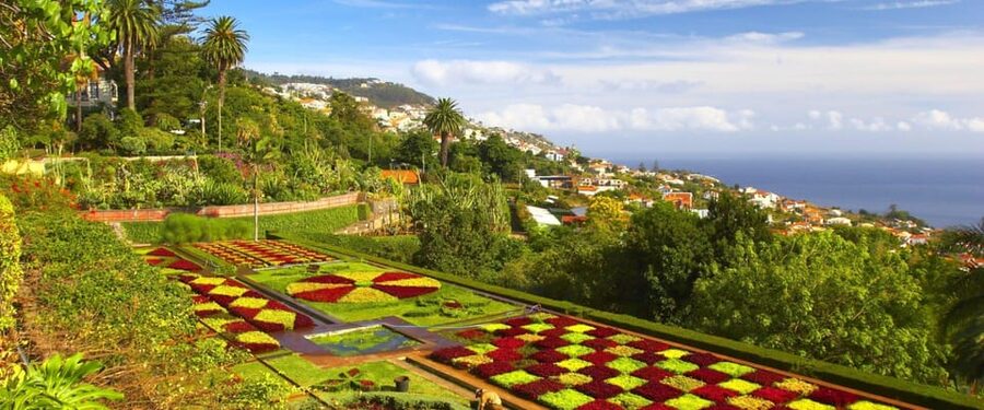 Madeira: Botanical, Monte Palace, and Palheiro Gardens - What the $176 group price really buys