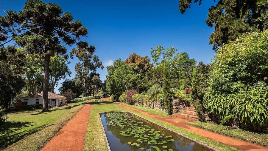 Madeira: Botanical, Monte Palace, and Palheiro Gardens - Who will get the most from this tour?
