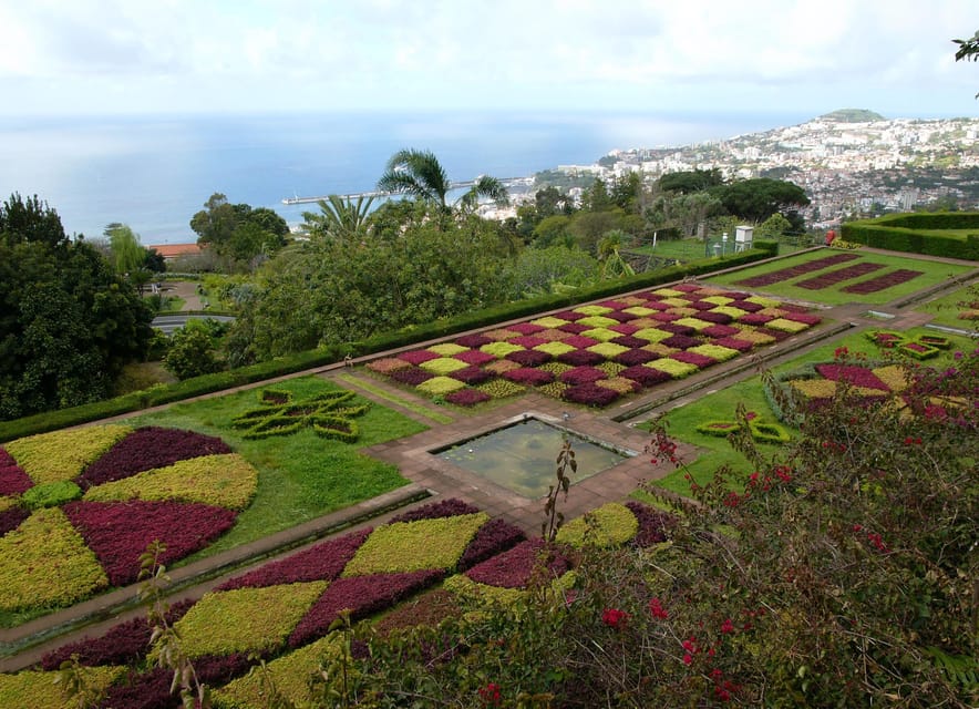 Madeira: Botanical, Monte Palace, and Palheiro Gardens - Why the private tuk-tuk changes the feel