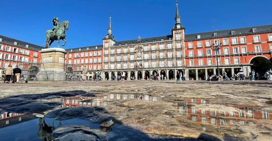 Madrid: Royal Palace Entry Ticket and Small Group Tour - Getting through the palace entrance