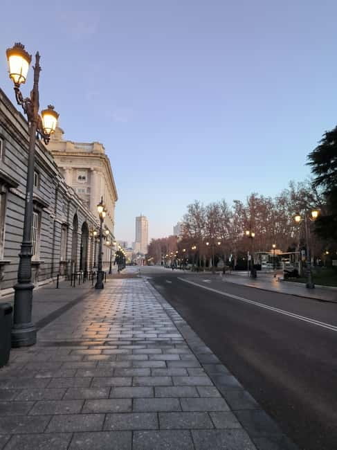 Madrid: Royal Palace Private Tour with Tickets - What the private format changes