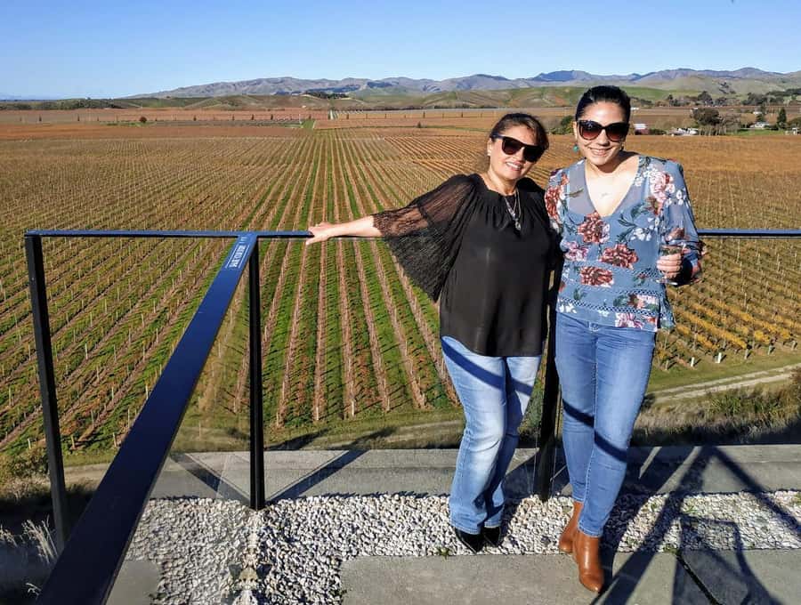 Marlborough: Blenheim Wine Tour; Afternoon of Wine only - The third vineyard and the final tasting hour