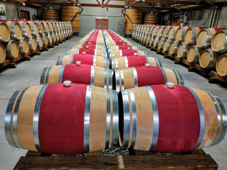 Marlborough: Half Day Blenheim Wine Tour - Eating & Sipping - A half-day built around three different cellar doors
