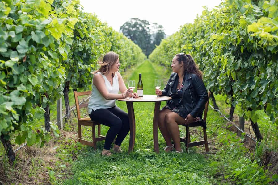 Marlborough Half Day Wine Tour From Blenheim 1.30pm - Why this afternoon tour works so well