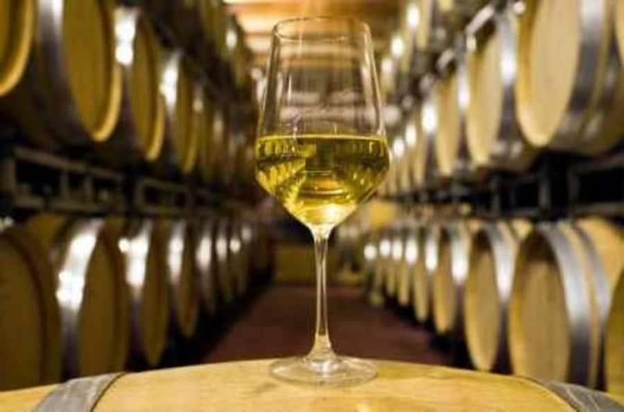 Marlborough Half-Day Wine Tour from Blenheim - Who will enjoy this Marlborough outing most