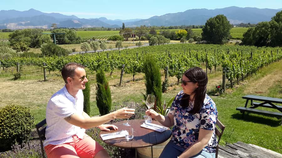 Marlborough Half-Day Wine Tour from Blenheim - Timing, comfort, and practical details