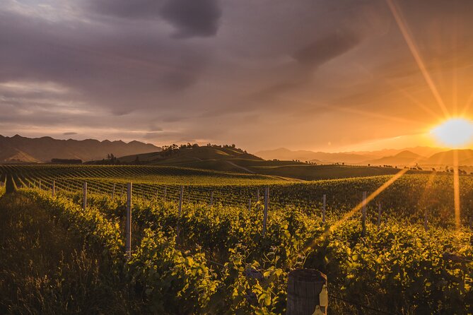 Marlborough Winery Tour - A Day of Cuisine & Wine 6hrs - Tasting Marlborough beyond Sauvignon Blanc