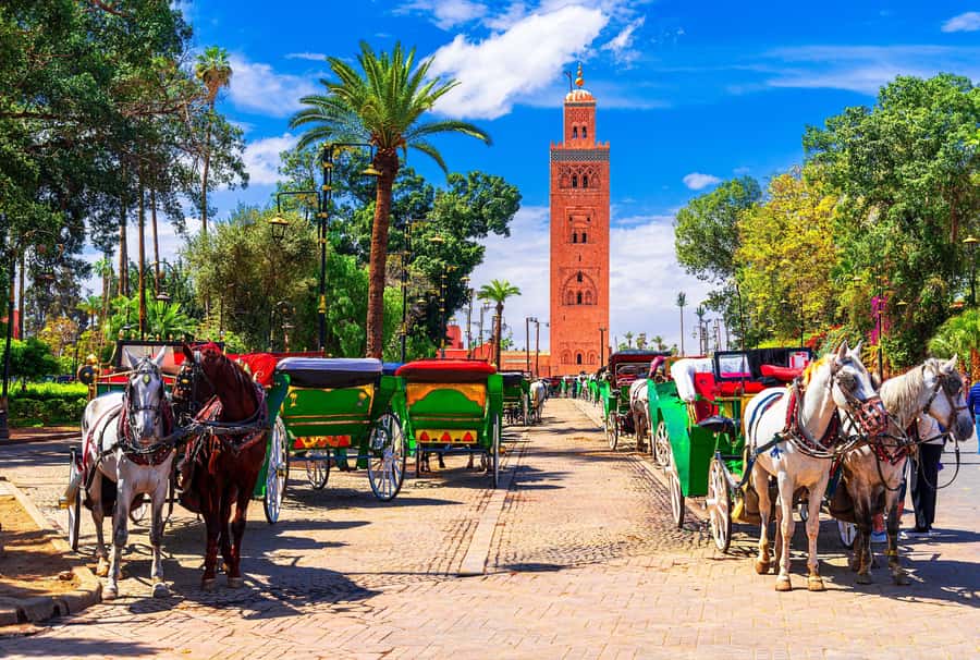 Marrakech: Bahia Palace, Madrasa Ben Youssef & Secret Garden - Starting at Café Argana in Jemaa el-Fnaa