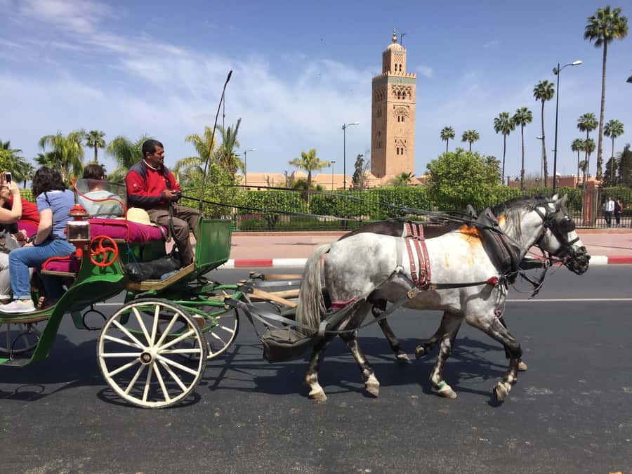 Marrakech: Bahia Palace, Saadian Tombs, & Koutoubia Mosque - Why this Marrakech walking tour works