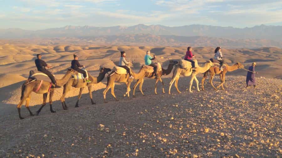 Marrakech Palaces and Monuments Half-Day Tour - Menara Garden, olive trees, and a quieter finish