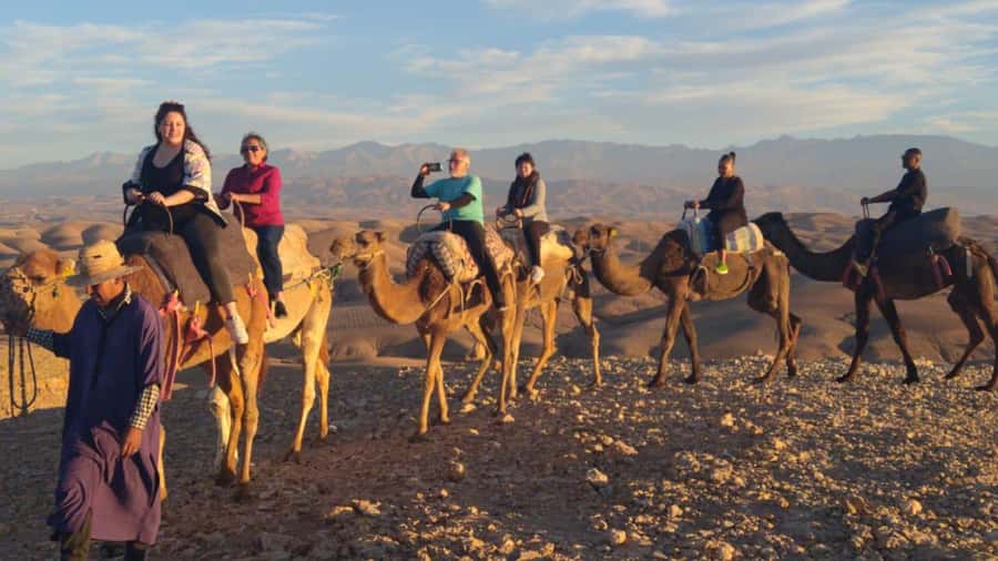 Marrakech Palaces and Monuments Half-Day Tour - The $29 price and what you still need to pay
