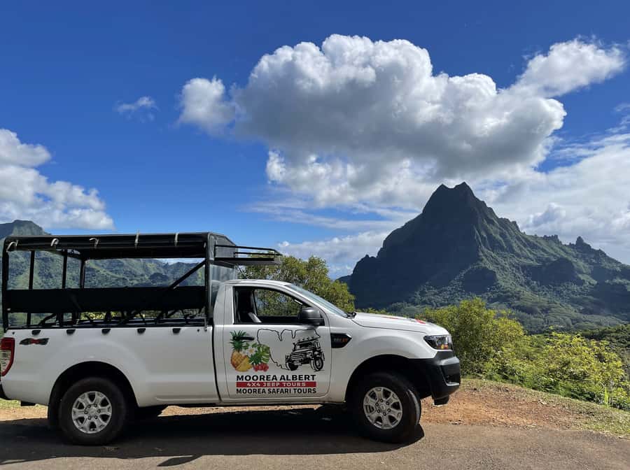 Moorea Cruise Ships: 4x4, Belvedere,Magic Mountain pineaple - Fruit, jam, juice, and liquor tastings