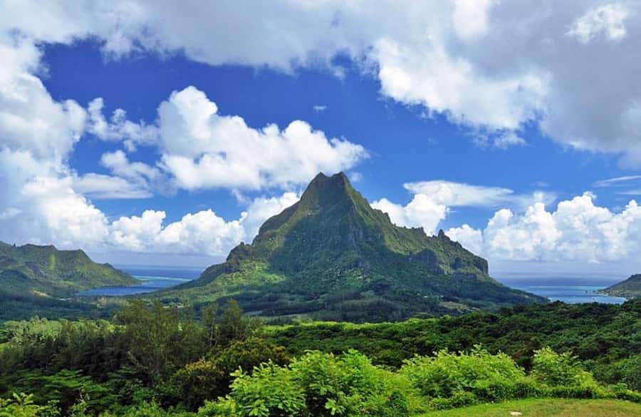 Moorea Cruise Ships: 4x4, Belvedere,Magic Mountain pineaple - How much can you really see in four hours?
