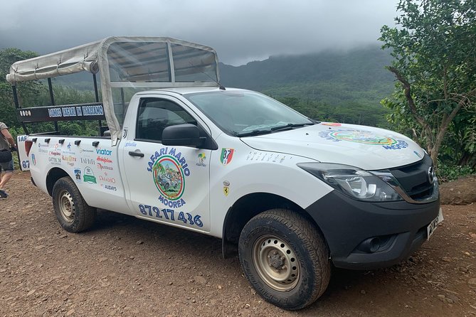 Moorea Cruise Ships: 4x4, Belvedere, Pineapple, & Magic Mountain - What the four-hour route covers