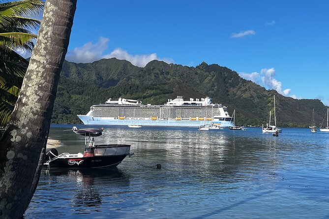 Moorea Cruise Ships: 4x4, Belvedere, Pineapple, & Magic Mountain - How rough is the 4x4 ride?