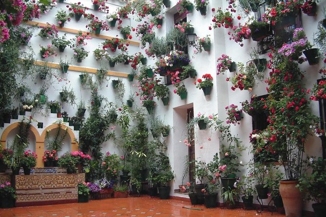 Mosque, Alcazar of the Christian Monarchs and Juderia - Booking advice and the service concern