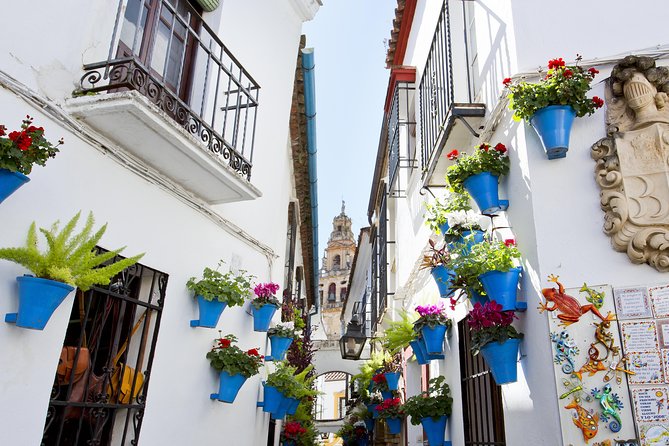 Mosque-Cathedral, Alcazar & Jewish Quarter with Tickets - Why this Córdoba walk works