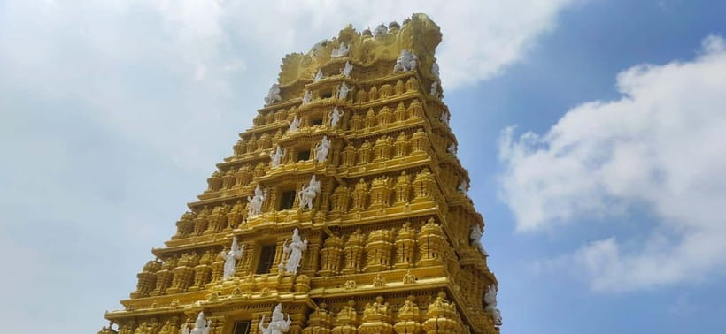 Mysore: Palace, Art Gallery & Devaraja Market Walking Tour - What the $49 price covers