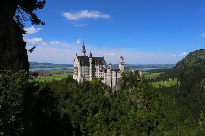 Neuschwanstein & Linderhof Castle Luxury Private Tour from Munich - The vehicle, guide, and pace