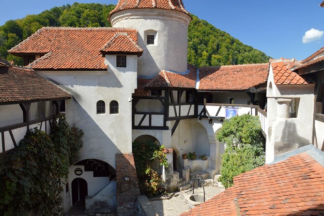 One Day Private Tour to Peles and Dracula Castles & Brasov City - Bran Castle beyond the Dracula label