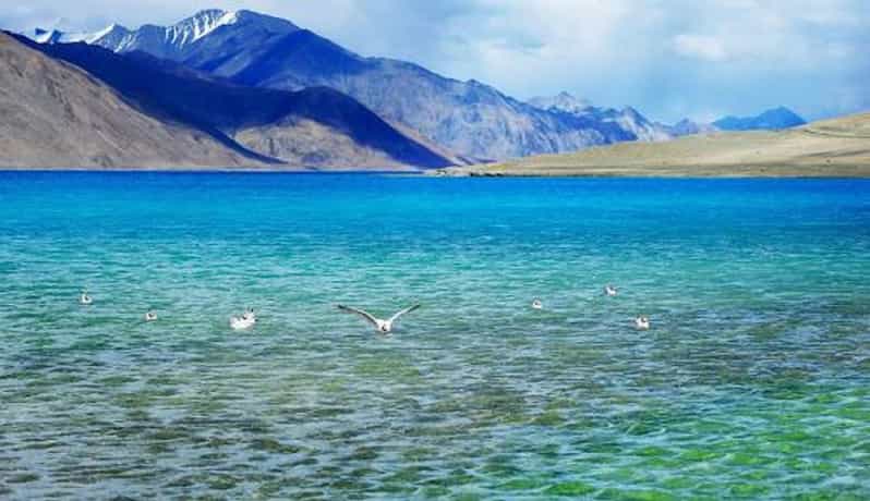 Overnight Pangong Tour From Leh With Thiksey & Shey Palace - Why Pangong Lake deserves the long road from Leh