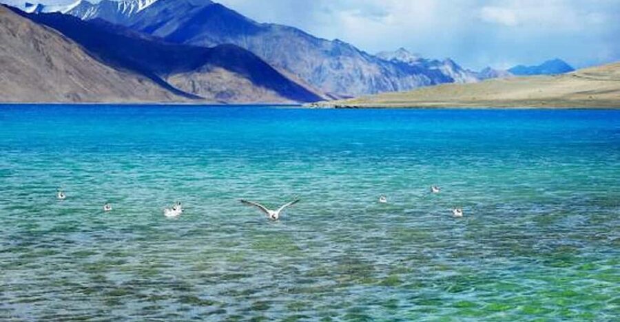 Overnight Pangong Tour From Leh With Thiksey & Shey Palace - Should you book it?