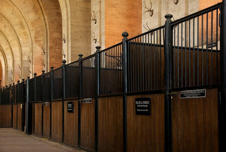 Paris: Private Tour of Domaine de Chantilly Ticket&Transfer - Should you book the private Chantilly tour?