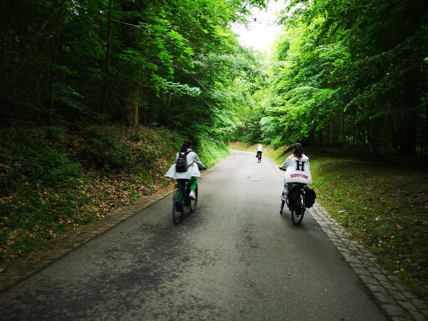 Paris: Versailles Palace and Queen Hamlet E-Bike Tour - Trianon and Marie-Antoinette’s country retreat