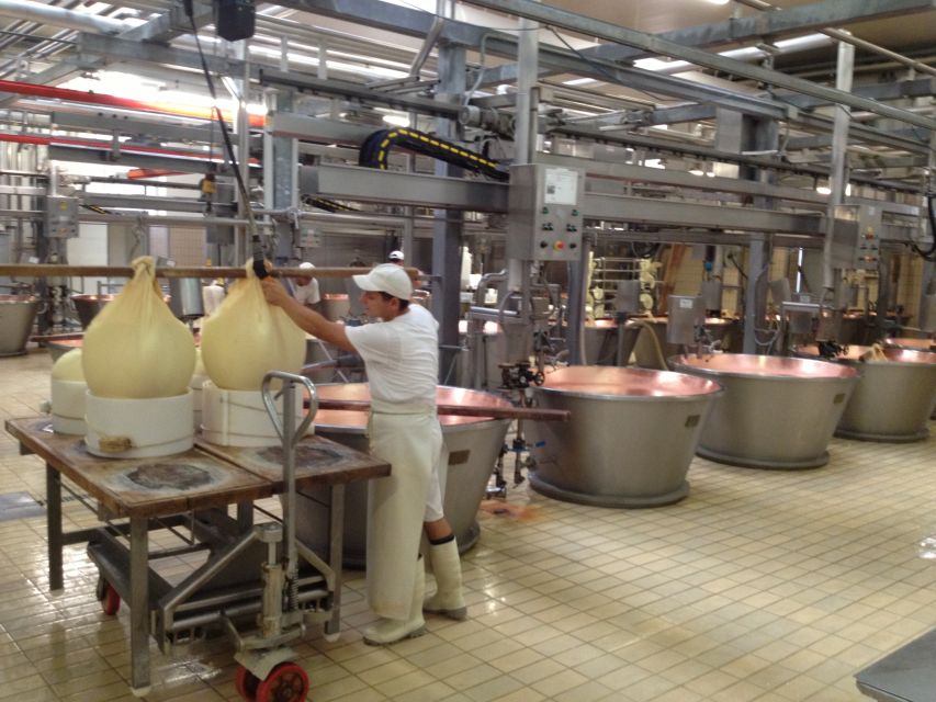 Parma: Parmigiano Reggiano Farm Tour & Tasting with Transfer - Watching the morning cheese-making work