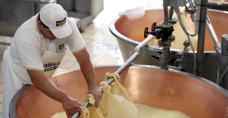 Parma: Parmigiano Reggiano Farm Tour & Tasting with Transfer - Thousands of wheels in the stagionatura