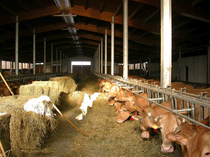 Parma: Parmigiano Reggiano Farm Tour & Tasting with Transfer - What the 3.5-hour schedule really gives you