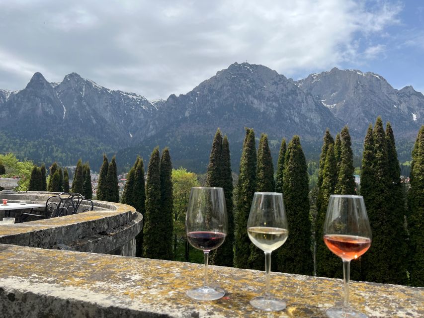 Peles & Cantacuzino Castles: Gourmet Wine & Cultural trip - Is $322 a fair price?