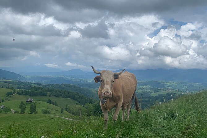 Peles castle and authentic Romanian village experience - day trip - The horse-drawn cart ride to 1,000 meters