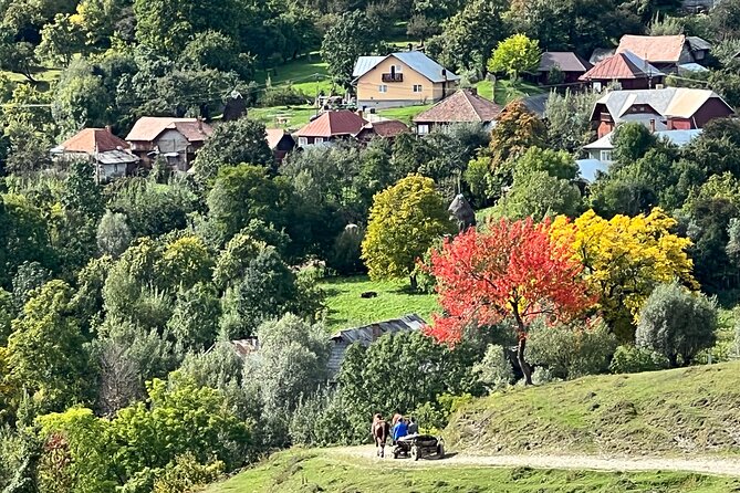 Peles castle and authentic Romanian village experience - day trip - Paltinu Lake and the final countryside view